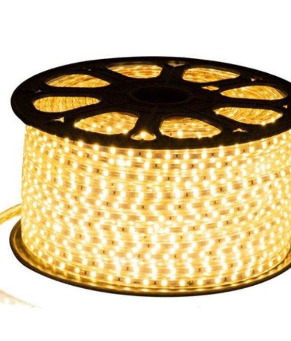LED SMD Rope Light 8mm AC220V Waterproof IP67
