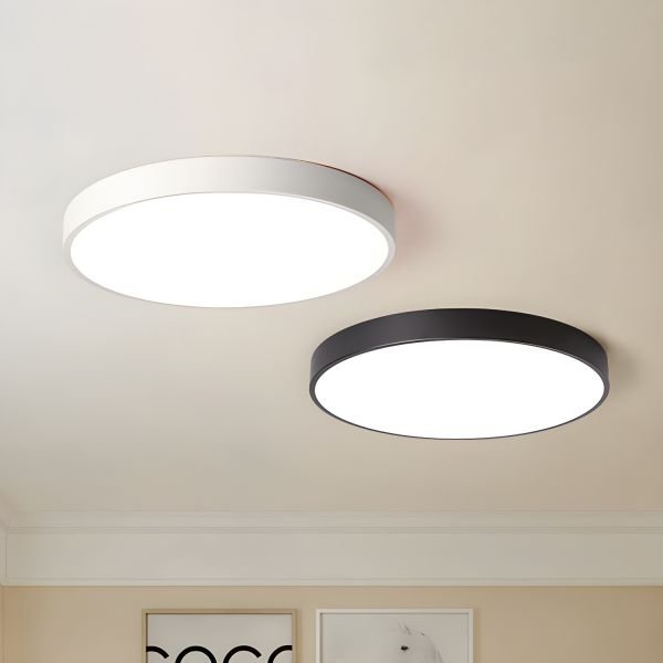 Circular flush mount and hanging modern lamp