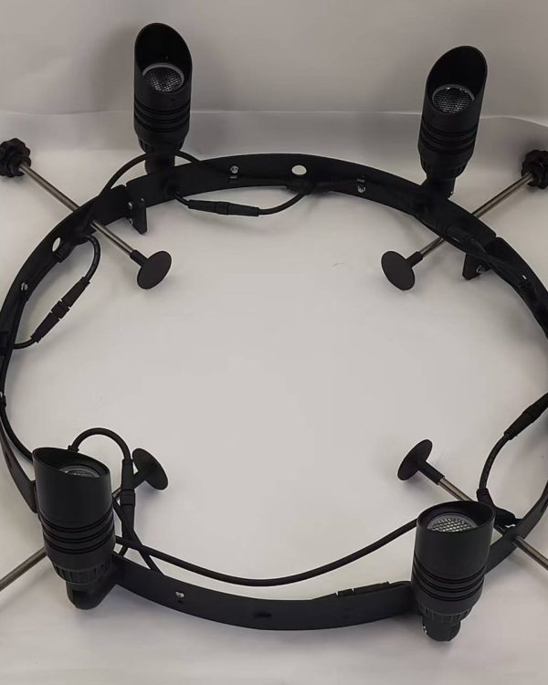Palm tree led ring light with 6 spot lights