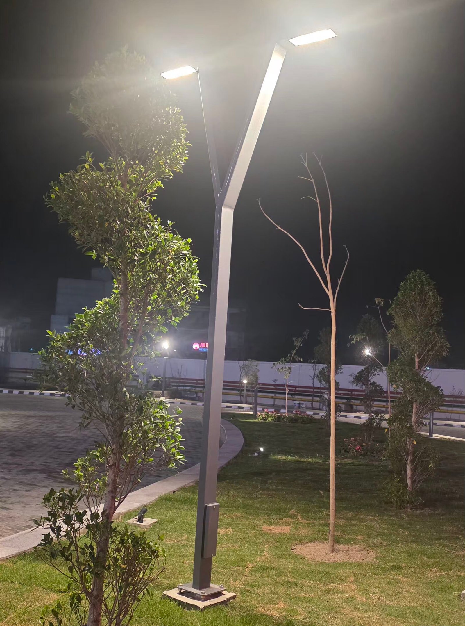 Y shaped modern designed garden pole light — Led pole lights in Islamabad | Voltedge Lighting